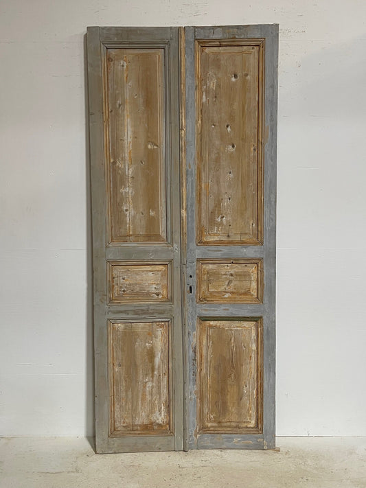 Antique French panel doors (98.5 x 43) G0115s