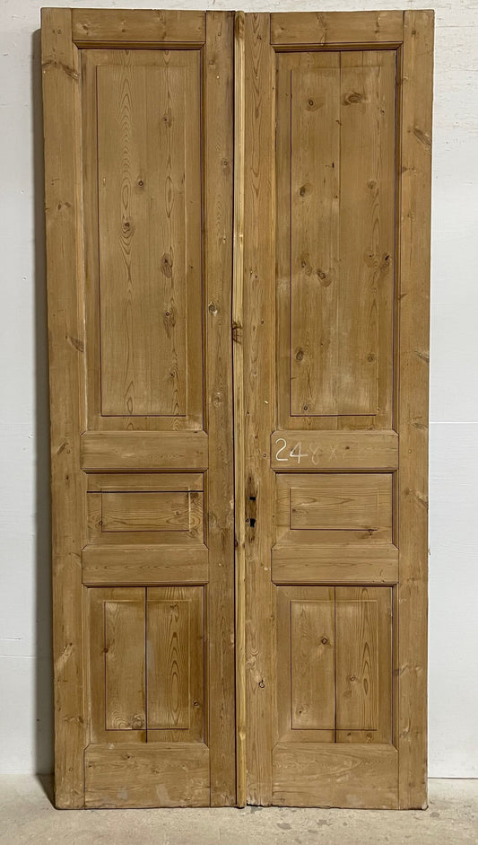 Antique French panel doors (97.5x46.5) I173