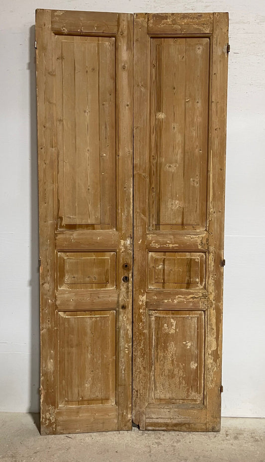 Antique French panel doors (99.5x44) I141