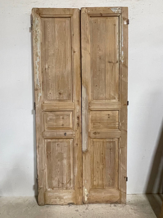 Antique French panel doors (94x44) I182