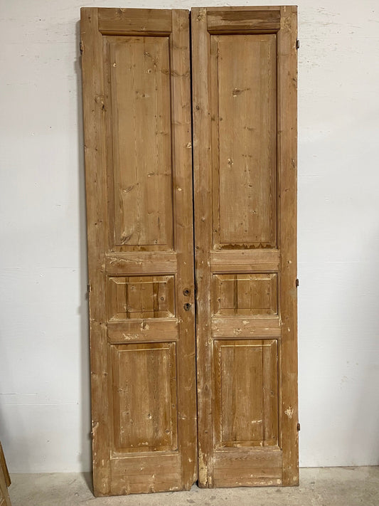 Antique French panel doors (101.75x44) I131