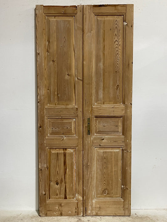 Antique French doors (92.75x41.25) H0159s