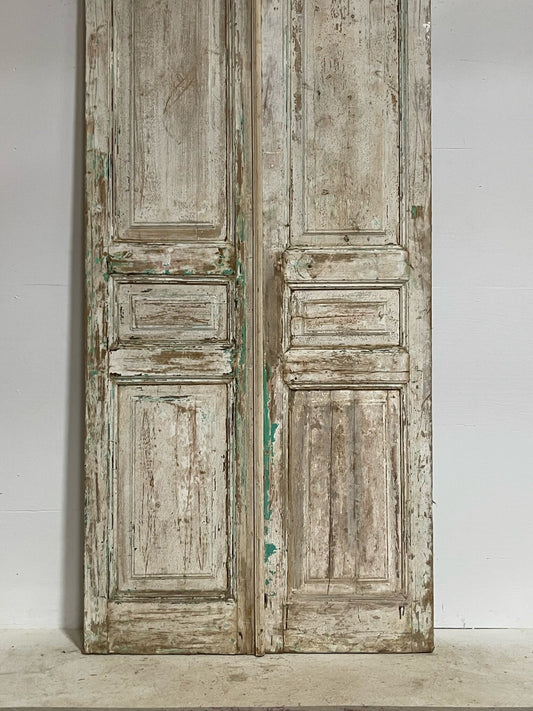 Antique French doors (103X45.75) G0097