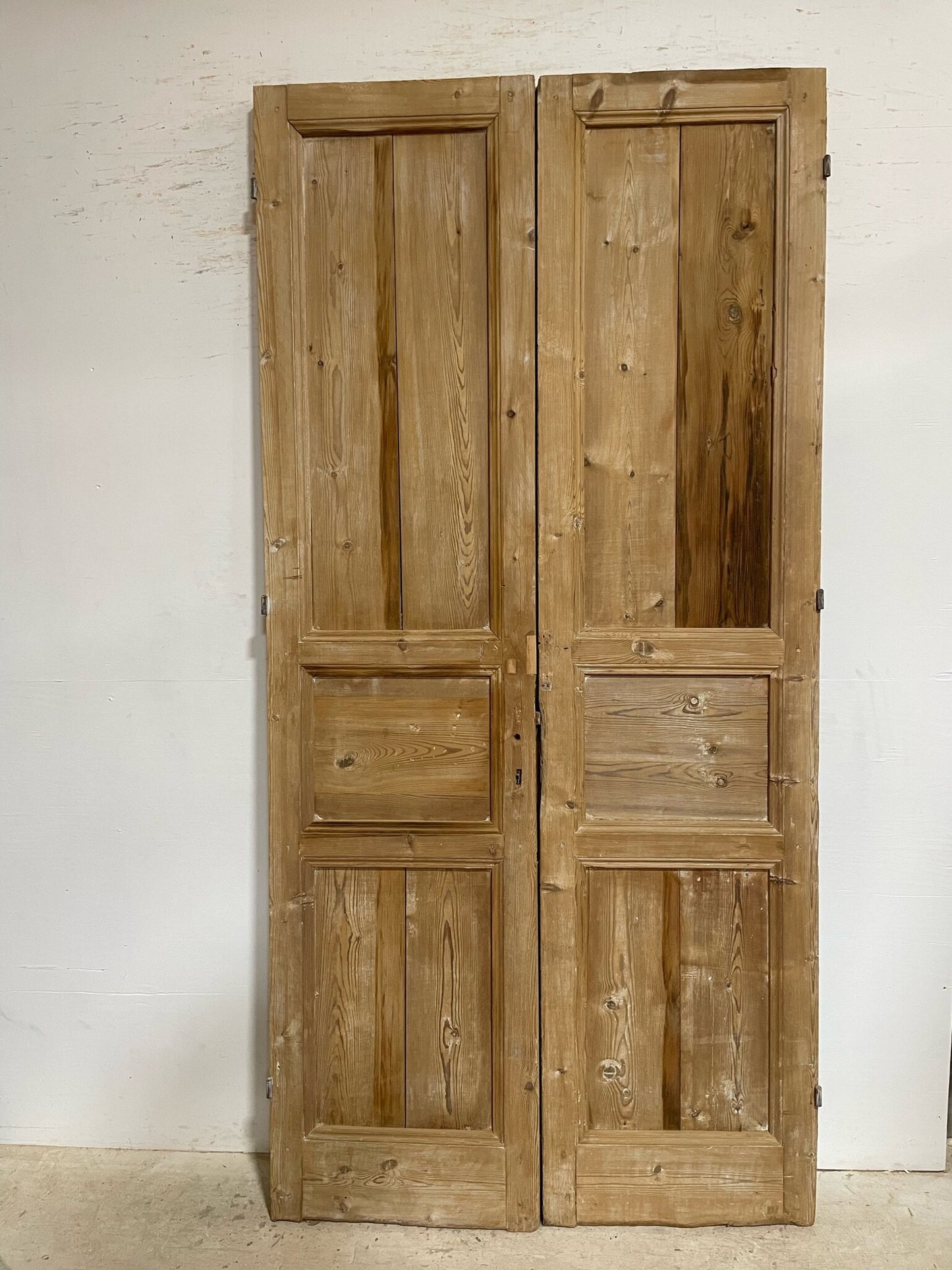 Antique French door (100.25x48.75) F0754