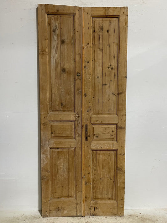 Antique French doors (93x38.25) H0166s