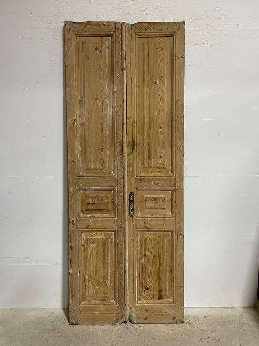 Antique French panel doors (97.25 x 37.5) I097