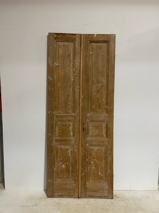 Antique French doors (93.75X37.75) G0025