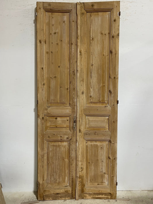 Antique French panel doors (98x40) I187