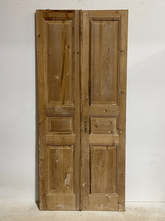 Antique French doors (93x41) H0074s