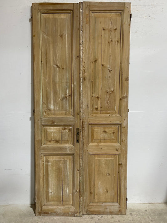 Antique French panel doors (96.5x43.5) I147