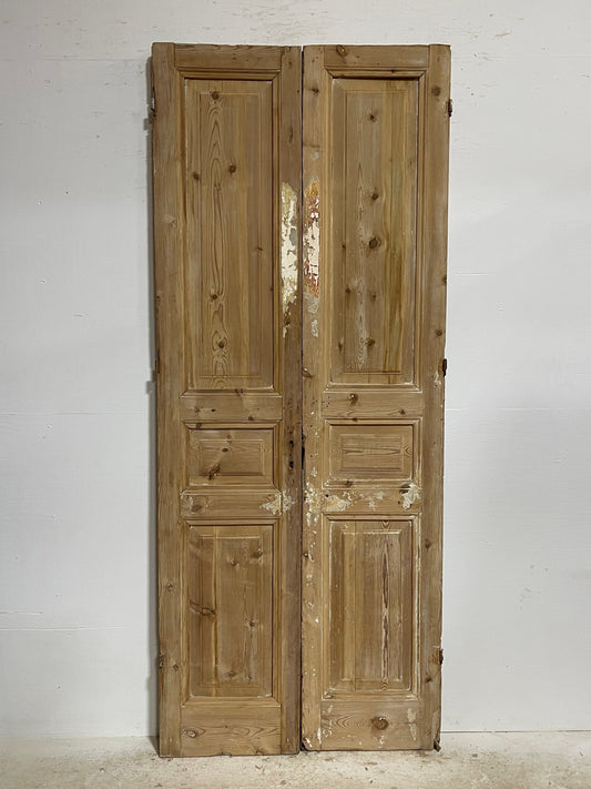 Antique French doors (97x39.75) H0121s