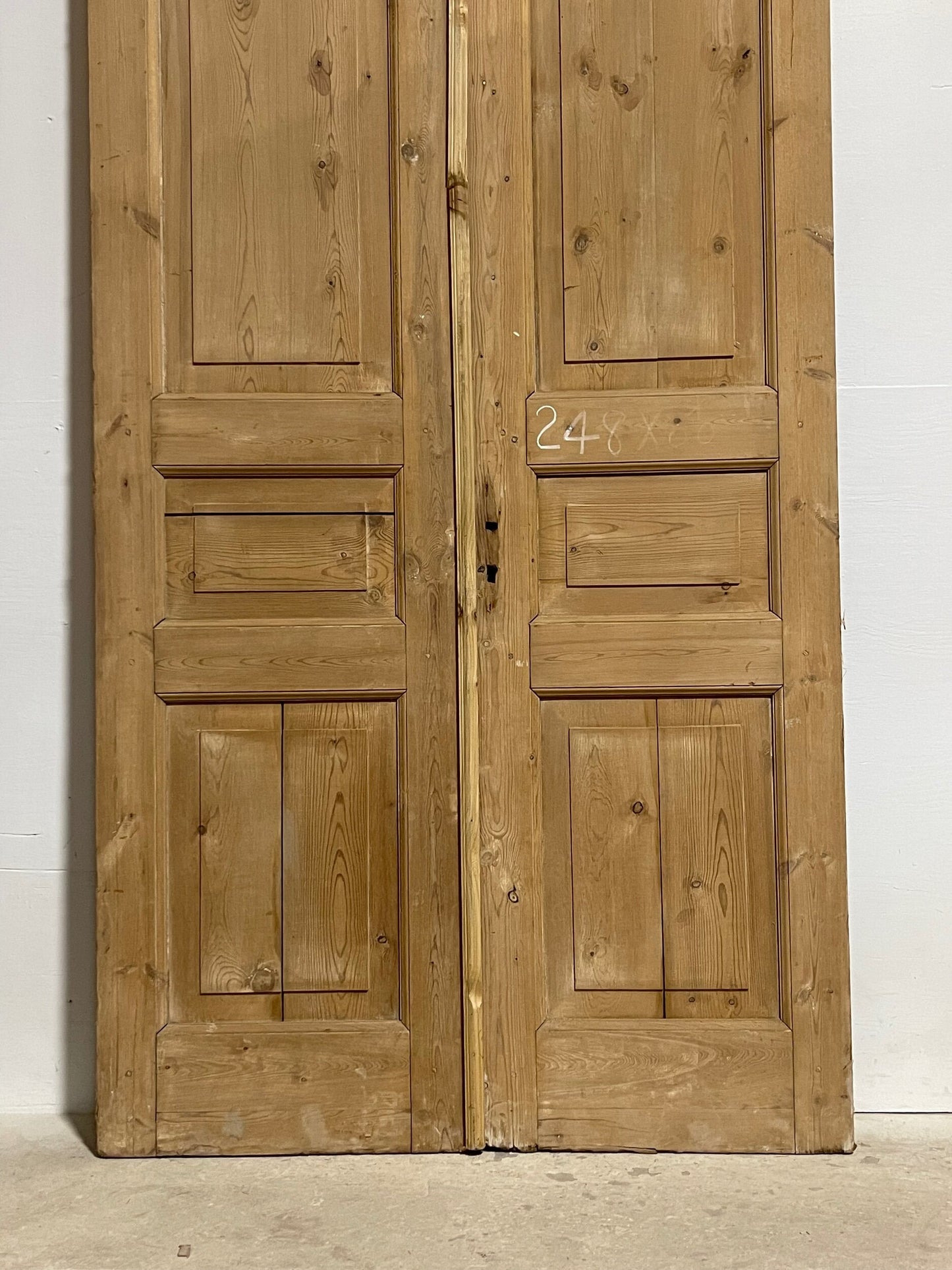 Antique French panel doors (97.5x46.5) I173
