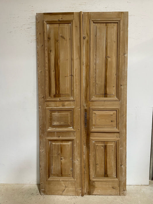 Antique French door (100.25x48.75) F0754