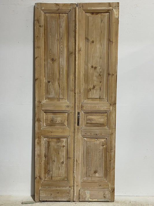 Antique French doors (96x39.75) H0139s