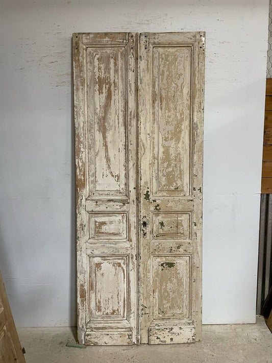 Antique French door (101x41.75) F9998