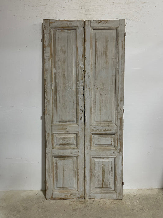 Antique French panel doors (90.75x39.75) I111