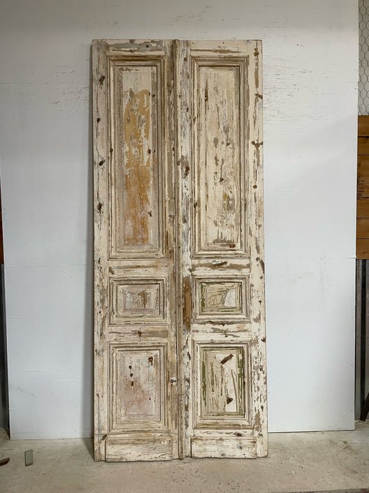 Antique French door (106.5x43.75) F0678