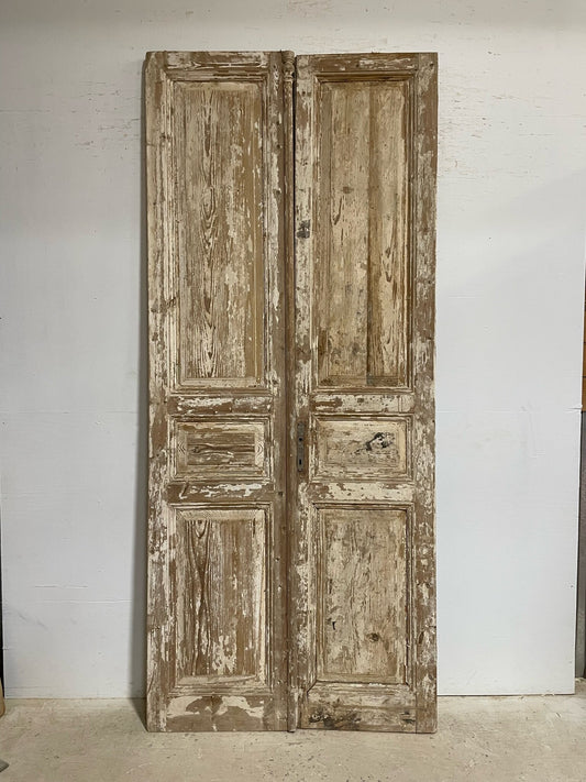 Antique French door (104.5x44.5) F0945