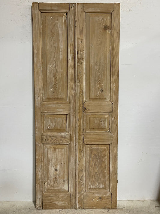 Antique French panel doors (93x38) I120