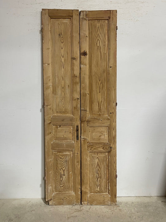 Antique French panel doors (95x35) I108