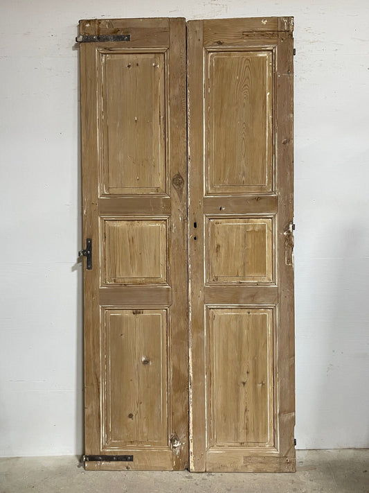 Antique French panel doors (104x48.75) I192