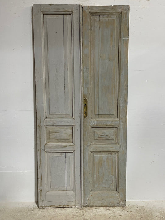 Antique French doors (96x43.75) H0126s