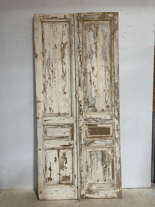 Antique French door (105.25x48) F0904