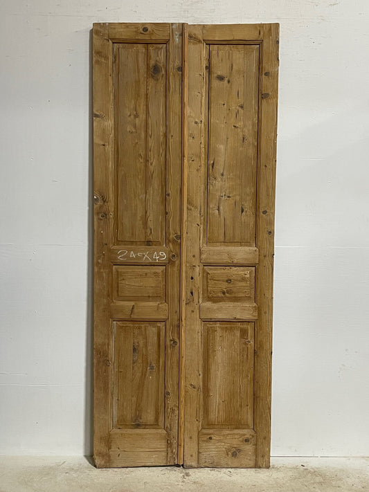 Antique French doors (94.5x38.5) H0154s