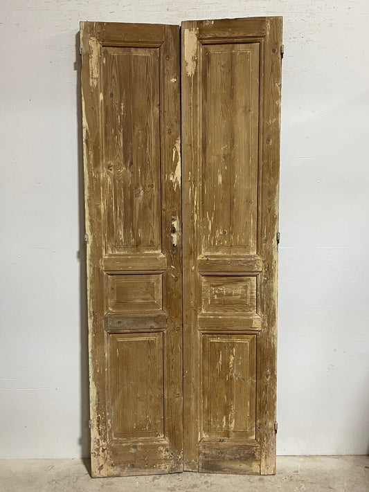 Antique French panel doors (93x39.25) I160