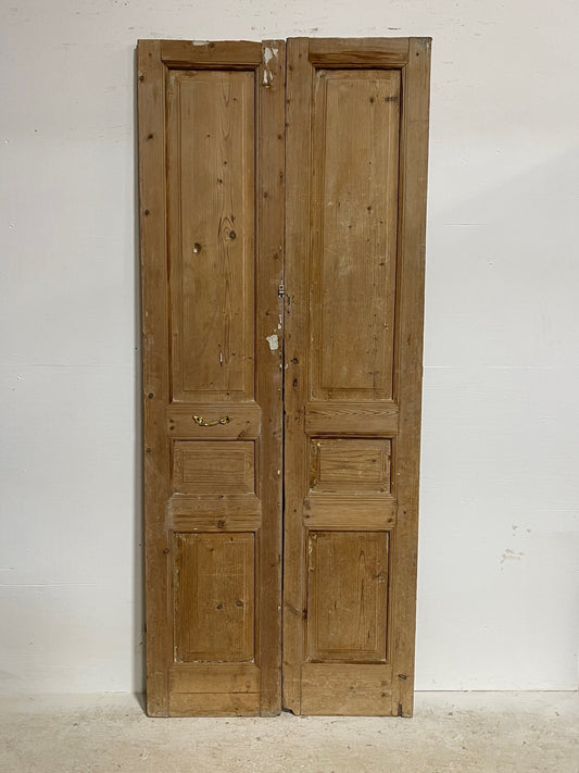 Antique French Panel doors (90x37.25) H0063sb