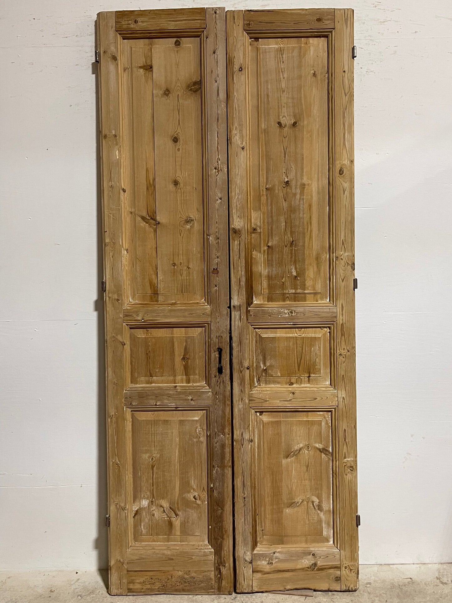 Antique French panel doors (101 x 43.75)  I060