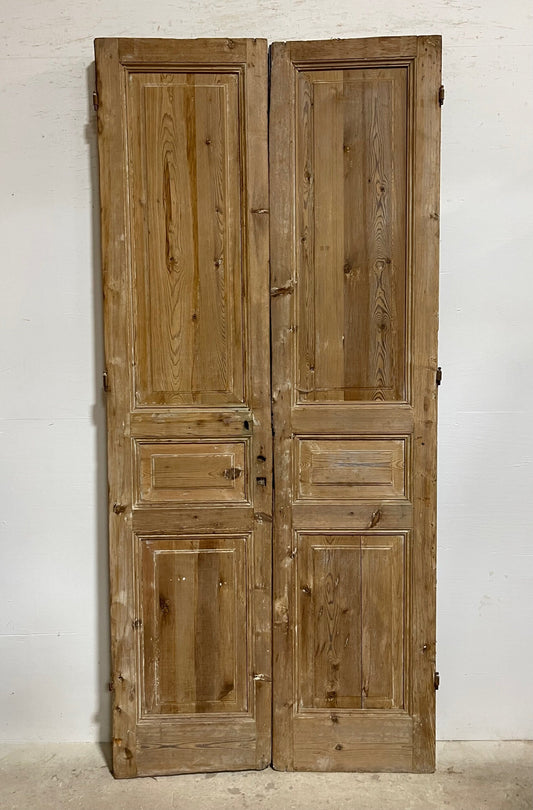 Antique French panel doors (96.5x43.75) I186