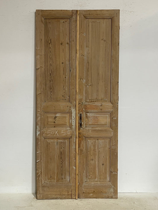 Antique French panel doors (98.5 x 42.75)  G0197s