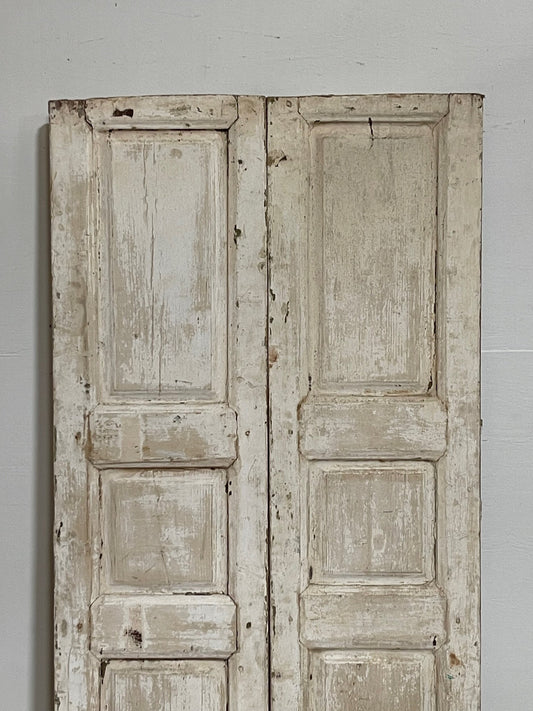 Antique French panel doors (68.25x33.5) I194