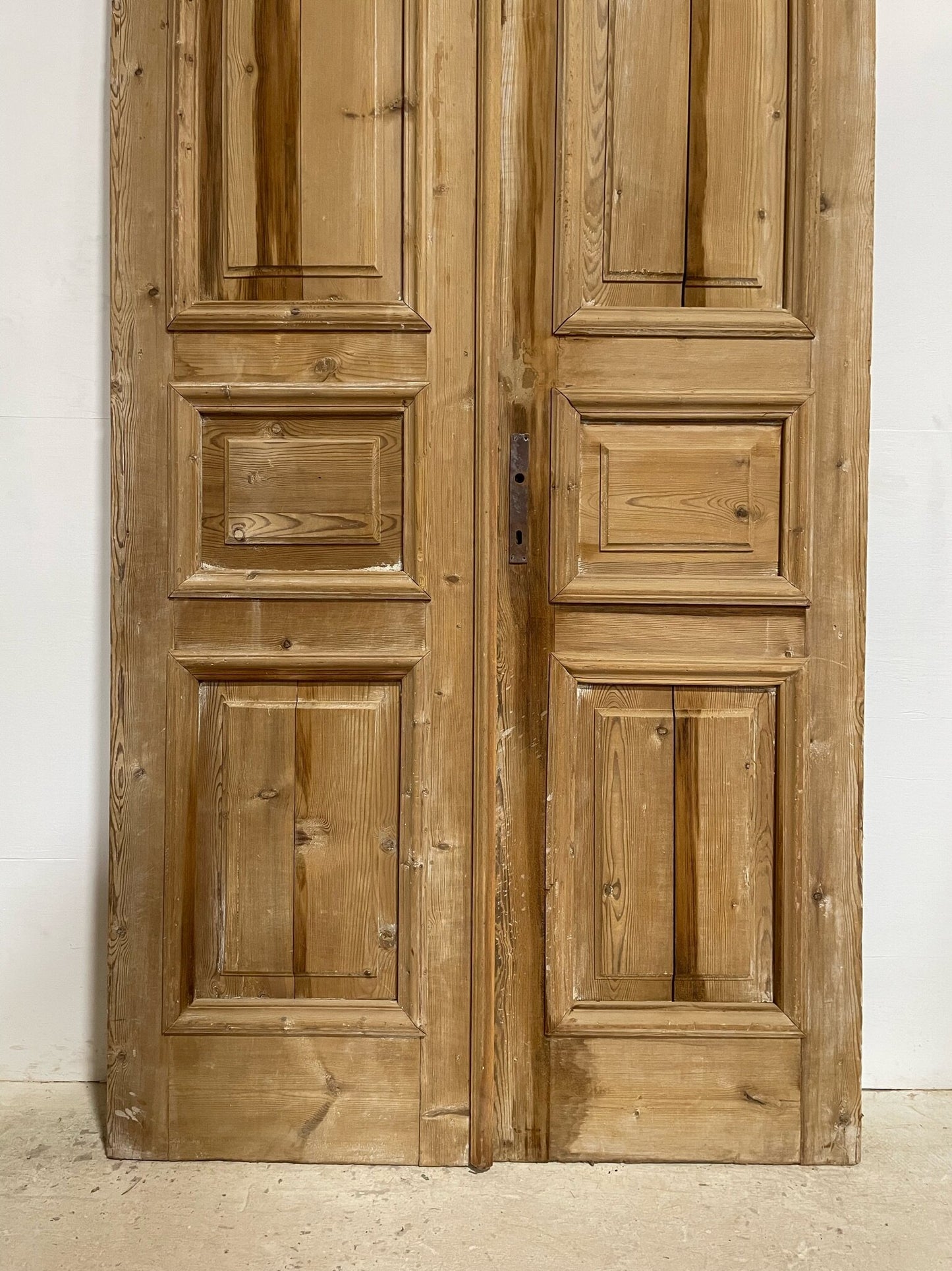 Antique French door (100.25x48.75) F0754