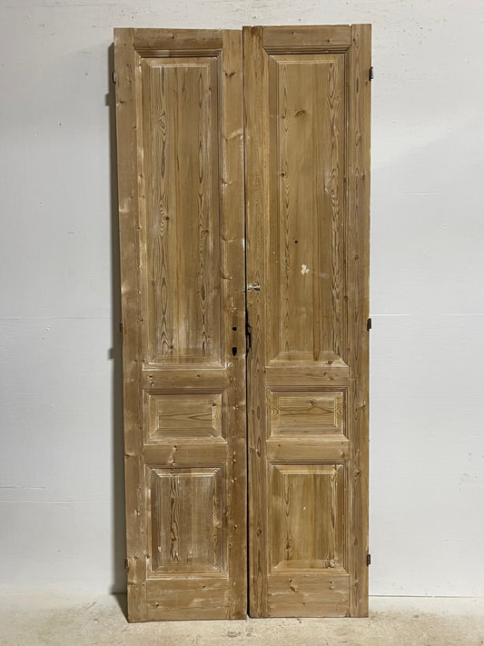 Antique French doors (91.5x38.25) H0201s