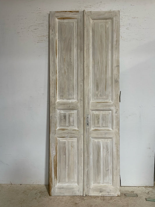 Antique French door (101.75x39) F9988 RT