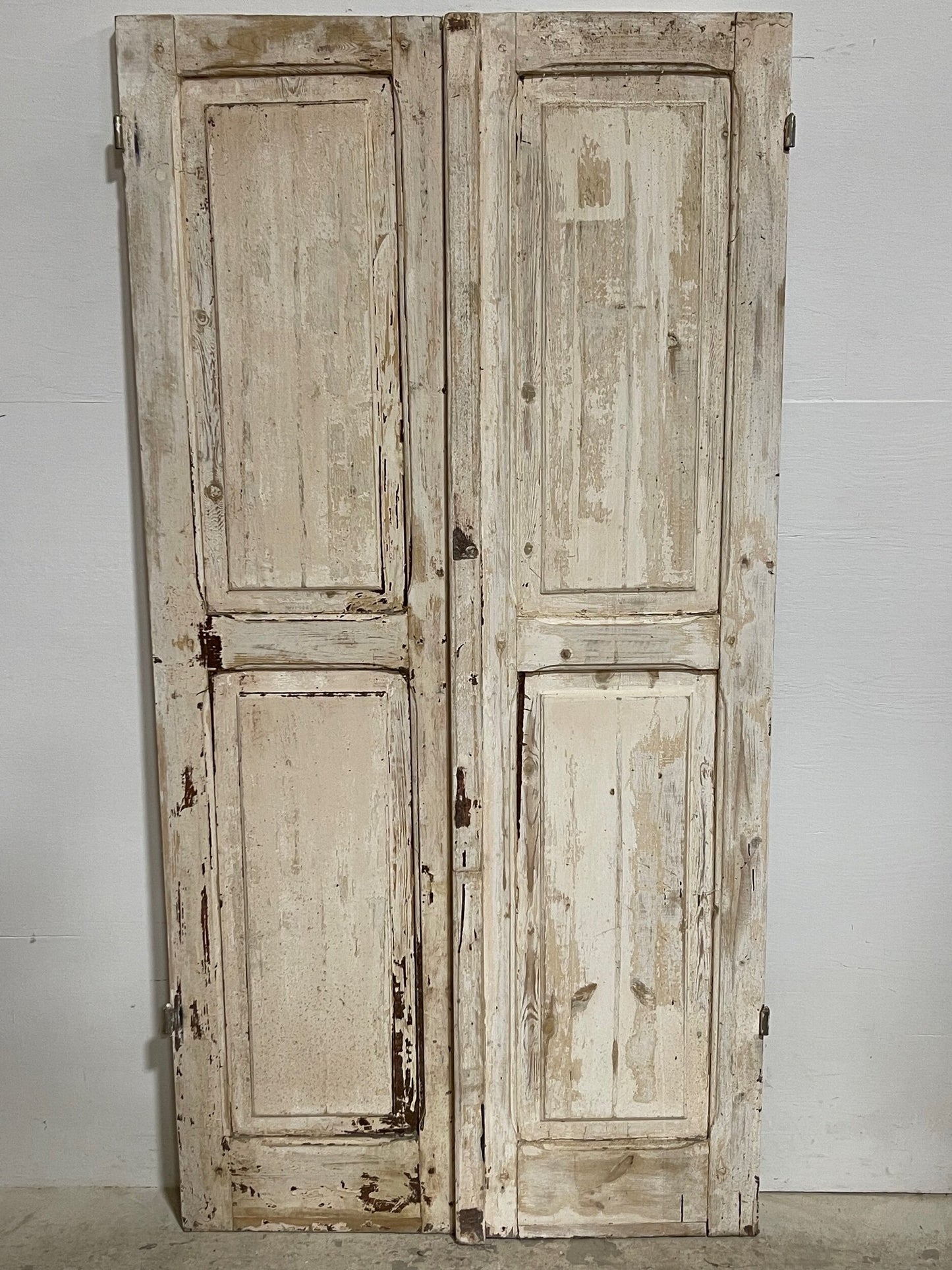 Antique French panel doors (67.25x34) I195