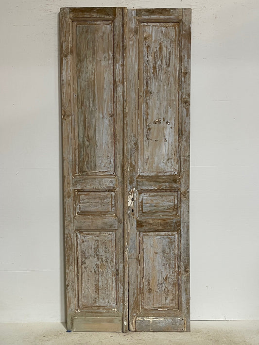 Antique french panel door (92.5 x 36.5) G1092s