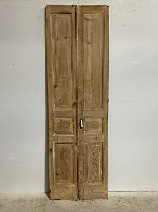 Antique French panel doors (93.5 x 29.5) I069a