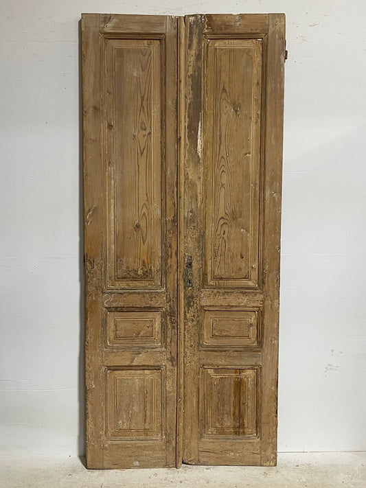 Antique French door (100.5x43.75) H0080s