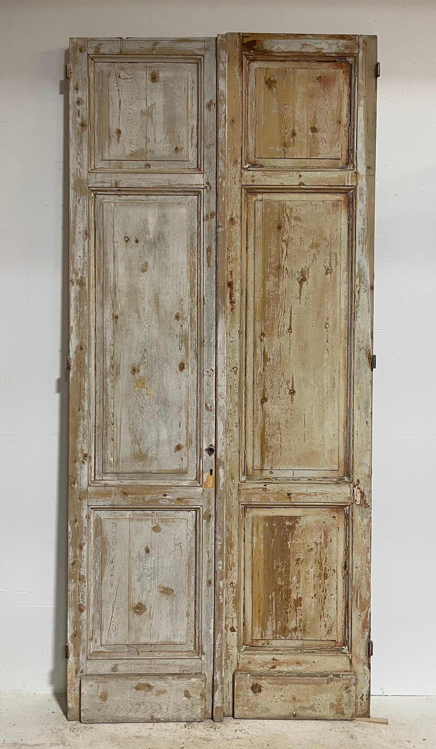 Antique French panel doors (116.25x52.25) G0059s