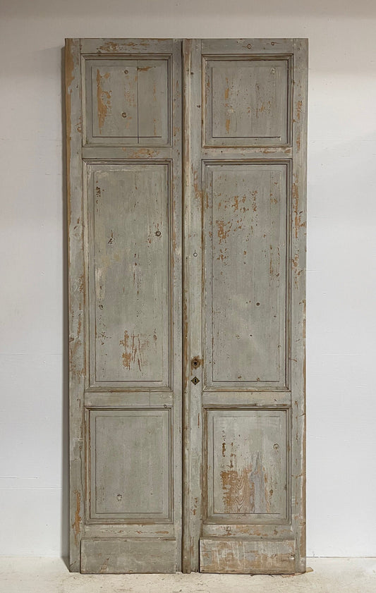 Antique French panel doors (116.25x52.75) G0063s