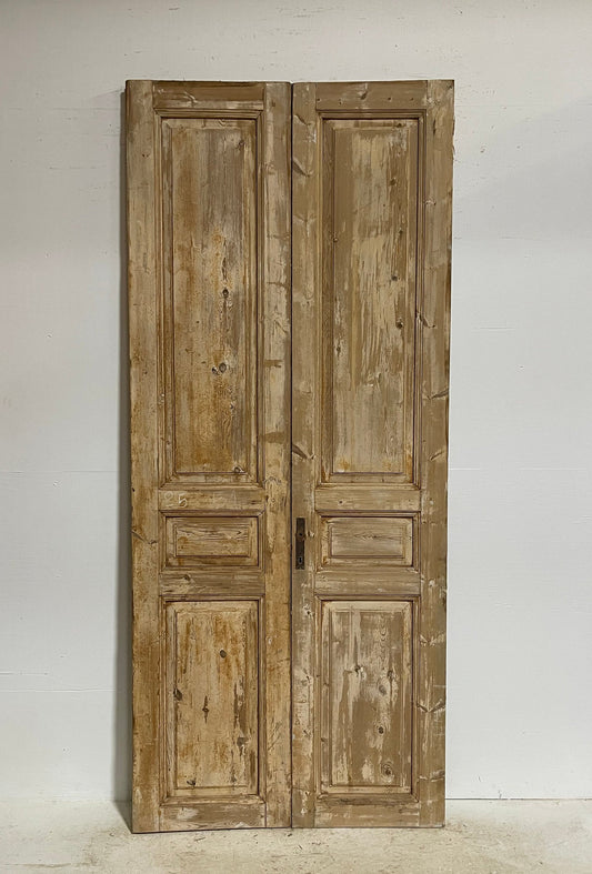 Antique French panel doors (98.5x42) G0066s