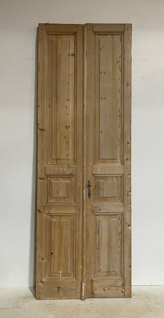 Antique French panel doors (111.5x38.5) G0085s