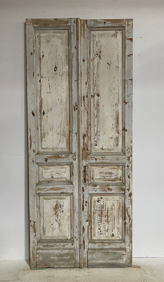 Antique French panel doors (104x44) G0084s