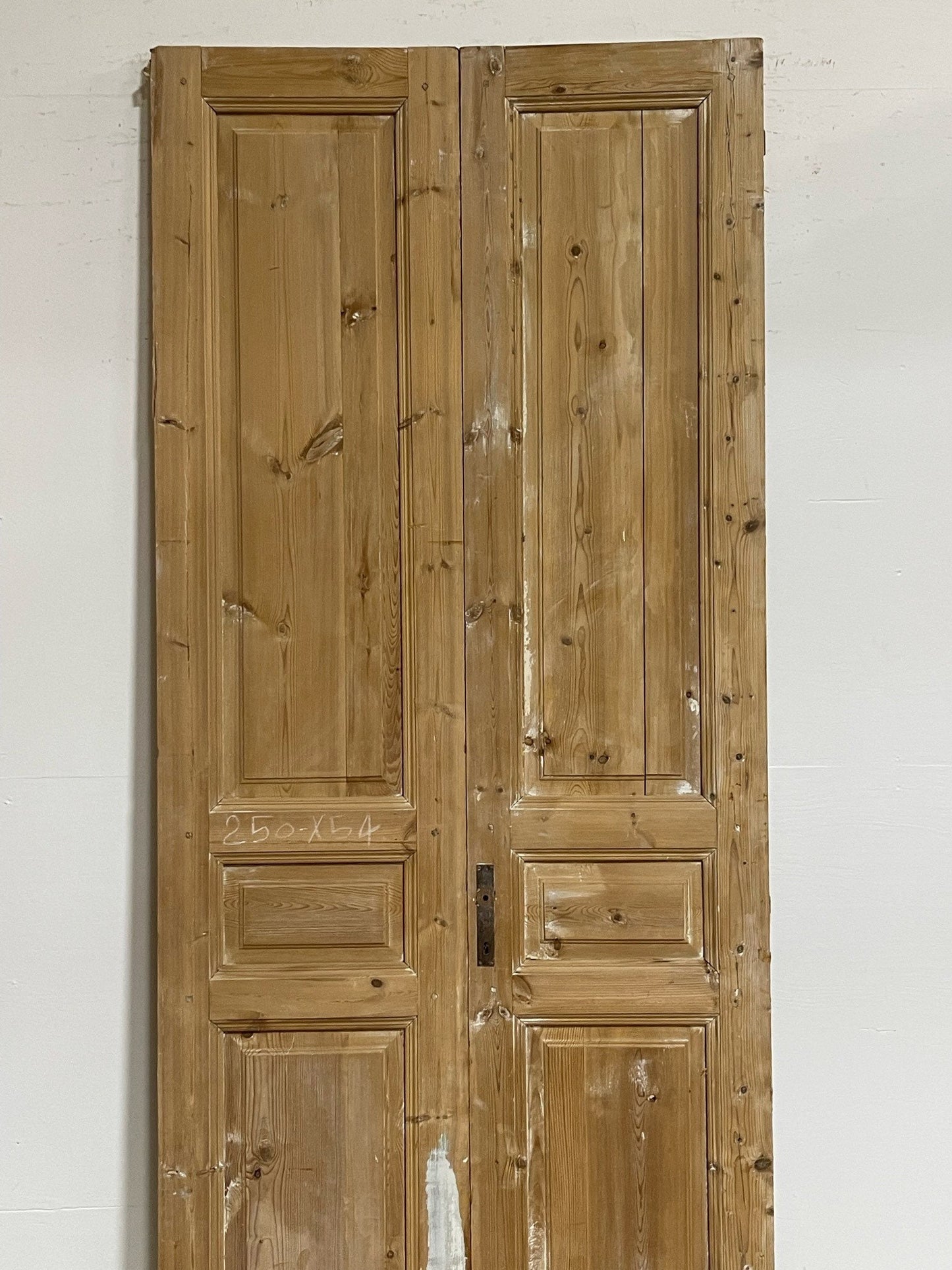 Antique French doors (98.5X42) G0099