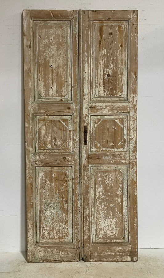 Antique French panel doors (101x45.5) G0118s