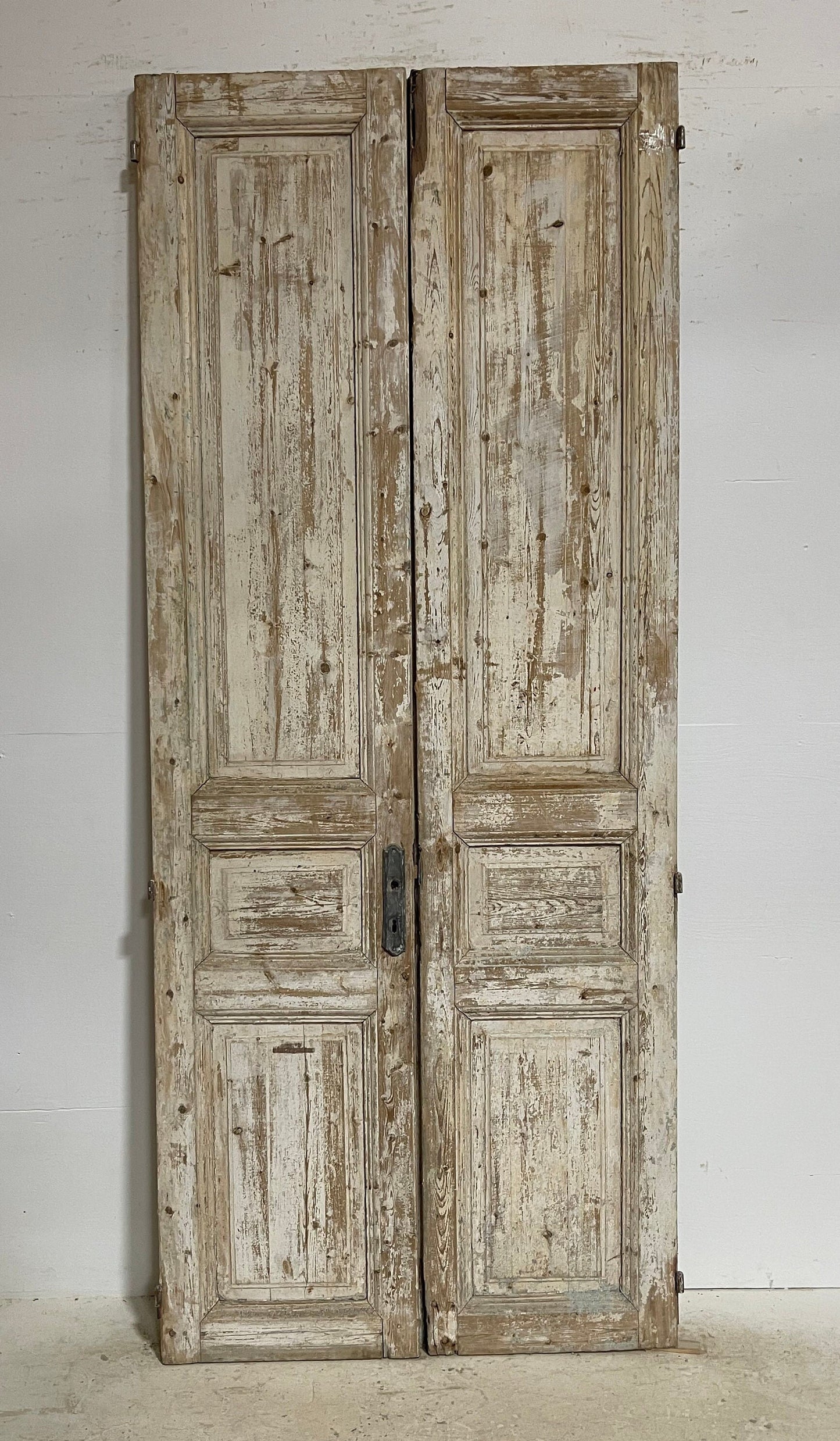 Antique French panel doors (96.75x39.75) G0119s