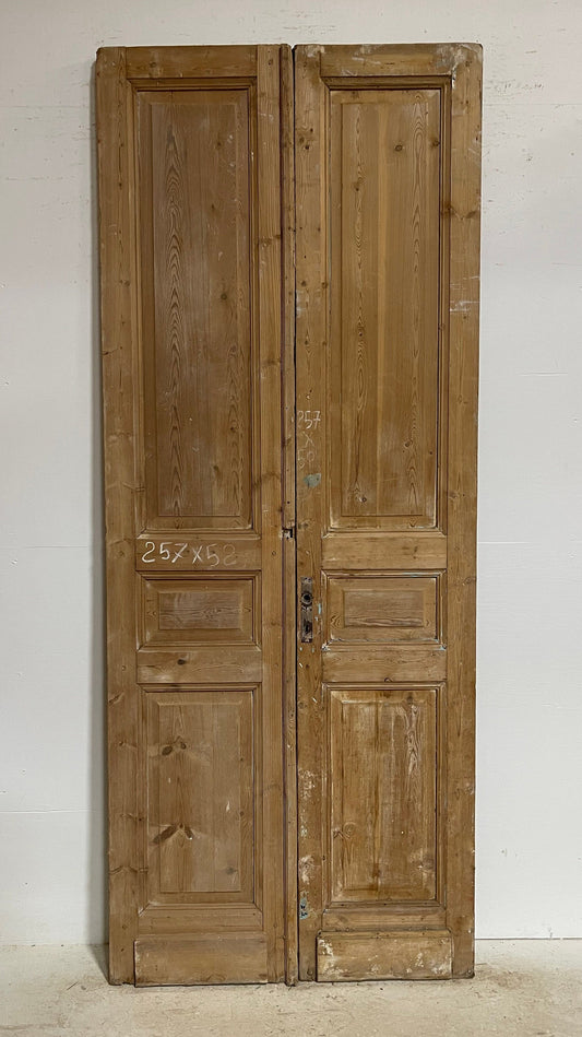 Antique French panel doors (101x40.5) G0122s